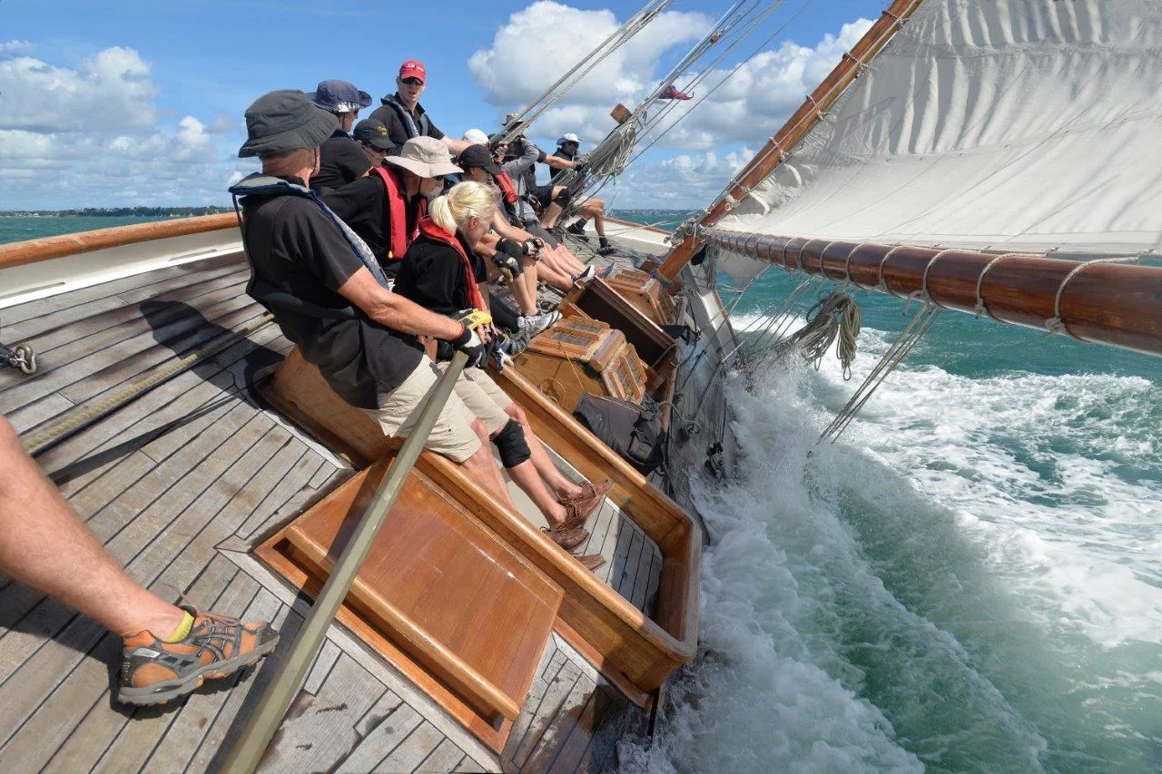 _PLS0944 EDIT 2 good copy.jpg