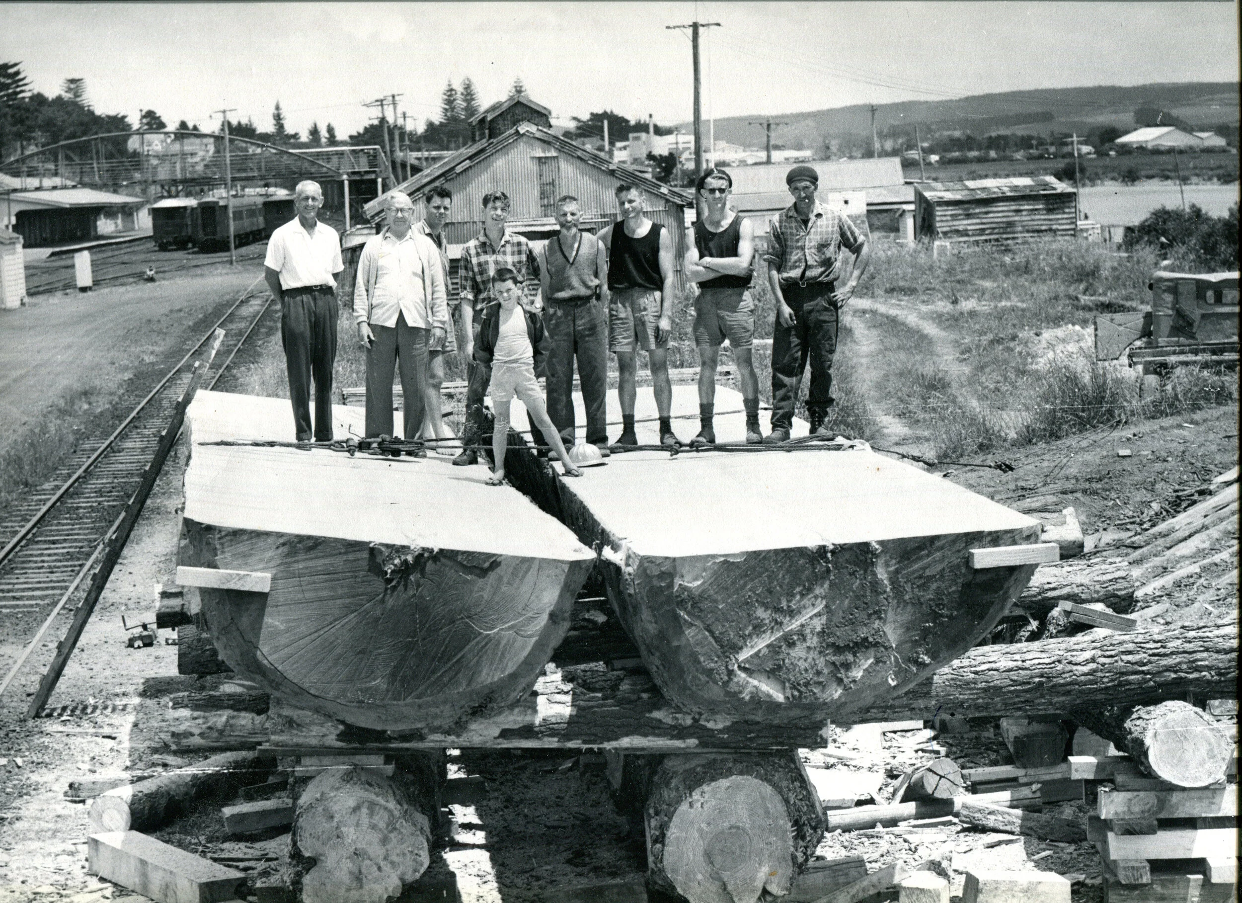 Log at Helensville052-330dpi.jpg