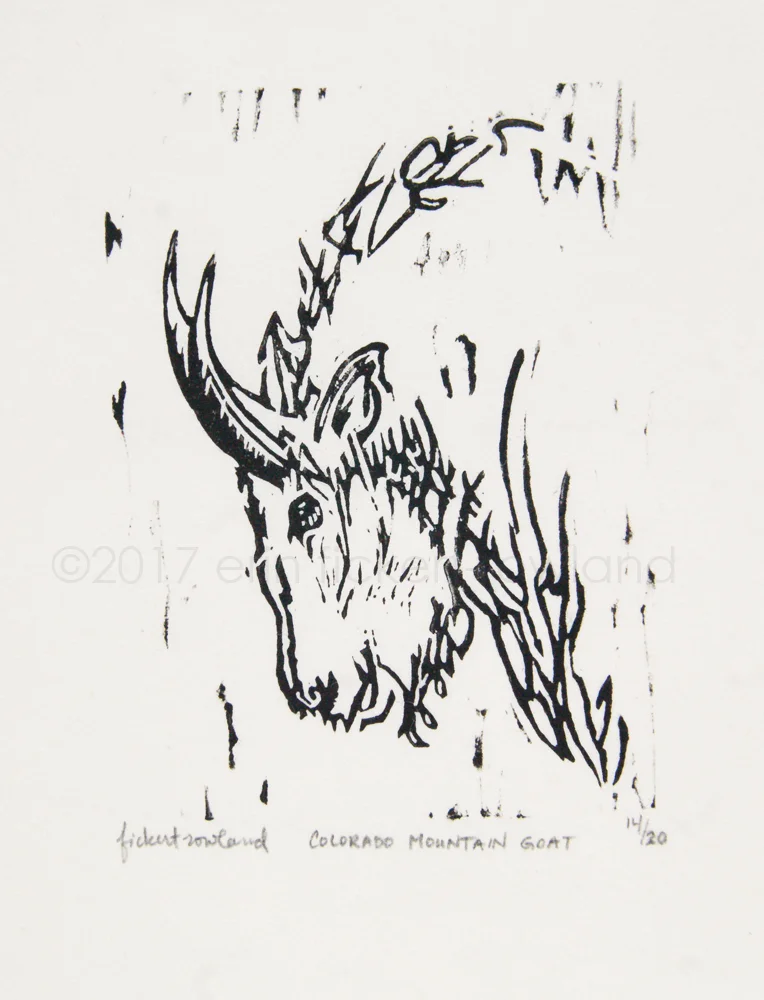 "Colorado Mountain Goat" Limited Edition of 20 3 in x 4 in Matted to 5 in x 7 in