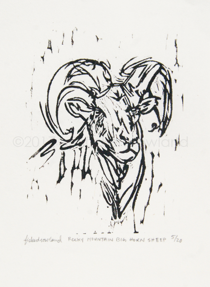 "Rocky Mountain Big Horn Sheep" Limited Edition of 20 3 in x 4 in Matted to 5 in x 7 in