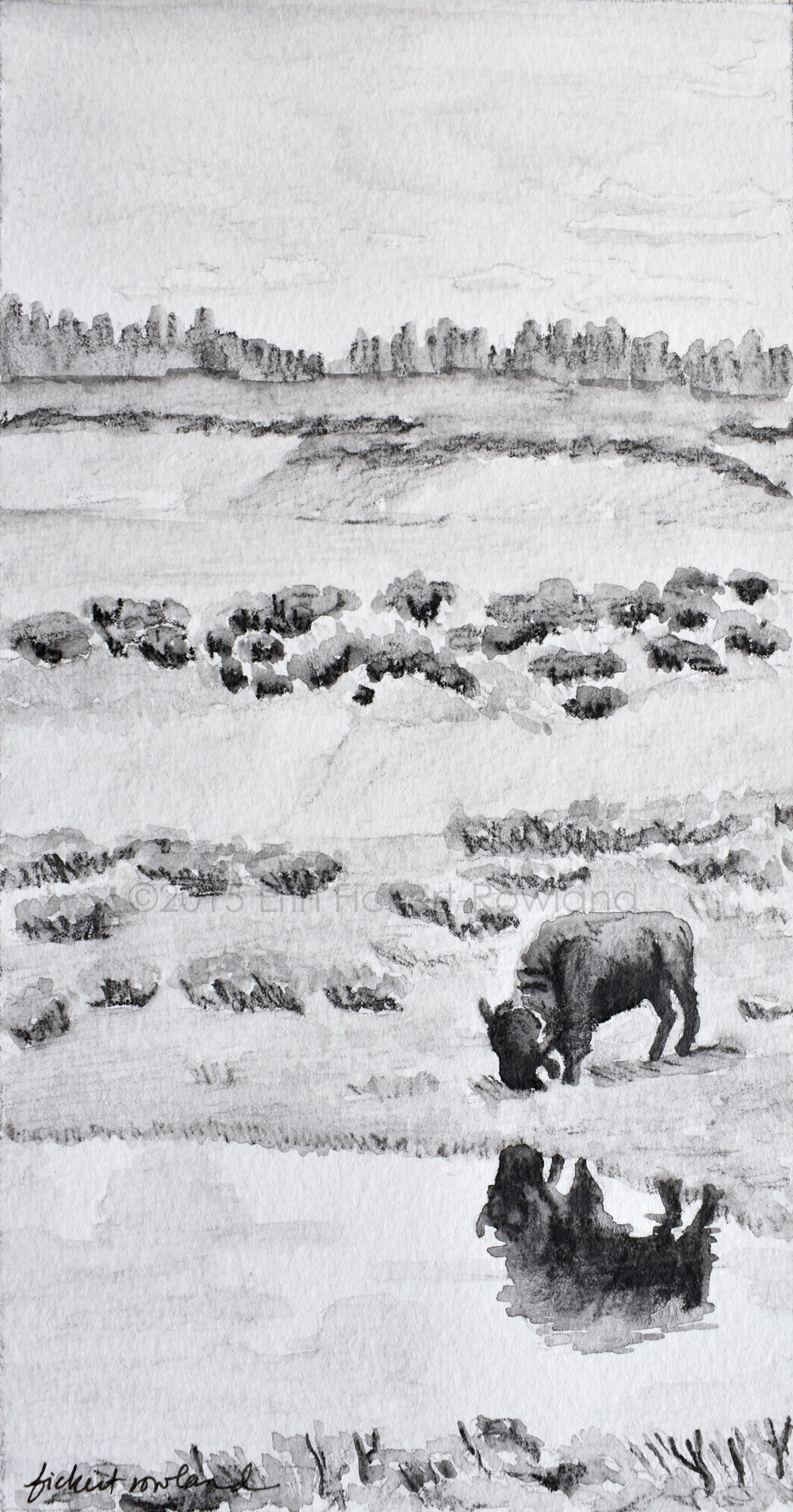 "Bison Reflection, Yellowstone" 5 in x 9 in Matted to 7 in x 11 in