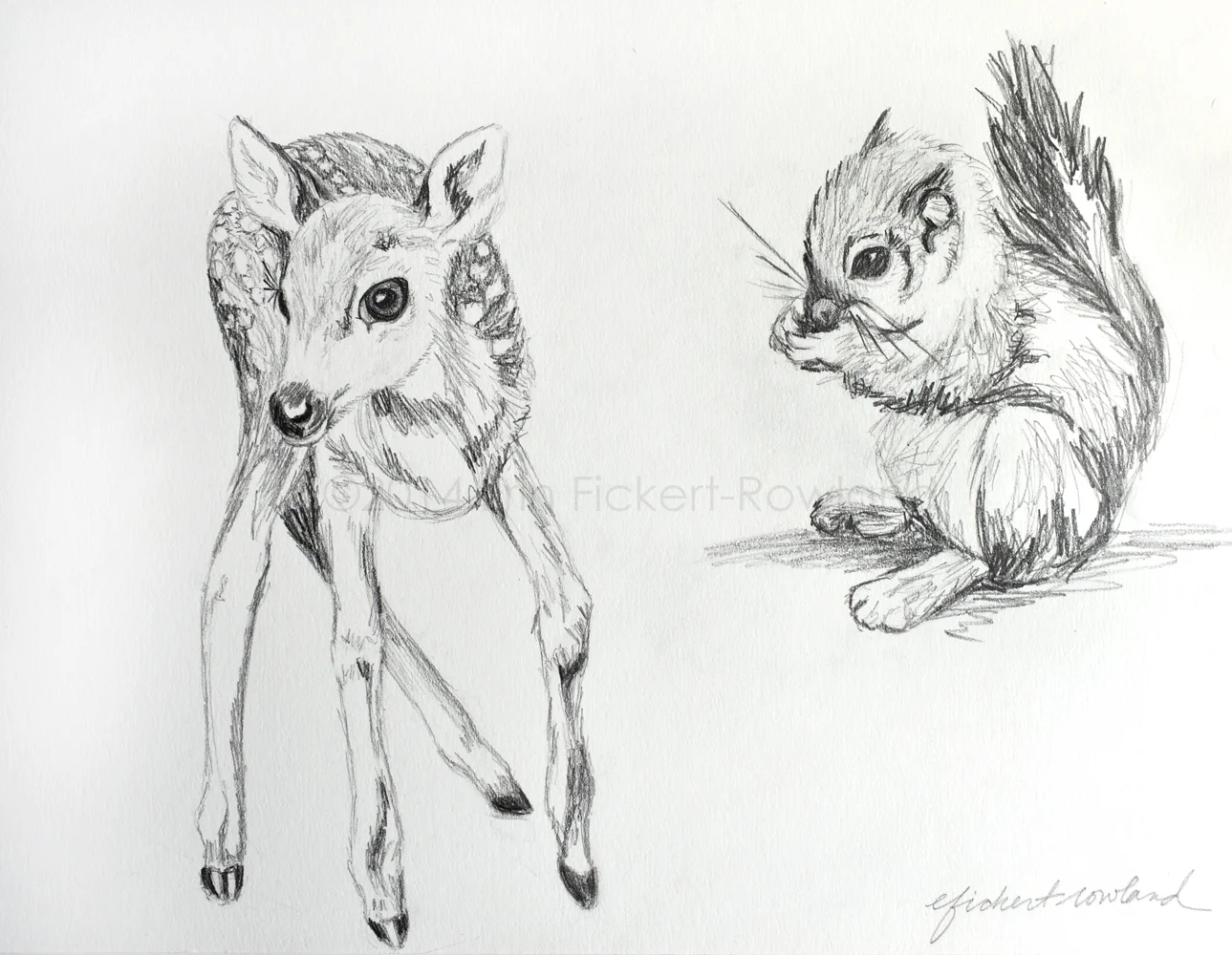 "Fawn and Squirrel" 8 1/2 in x 11 1/2 in Matted to 11 in x 14 in