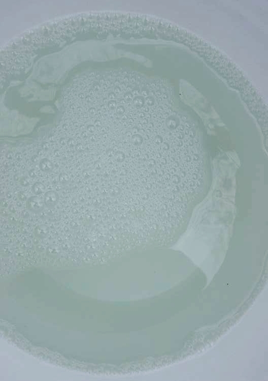 bucket of sap.jpg
