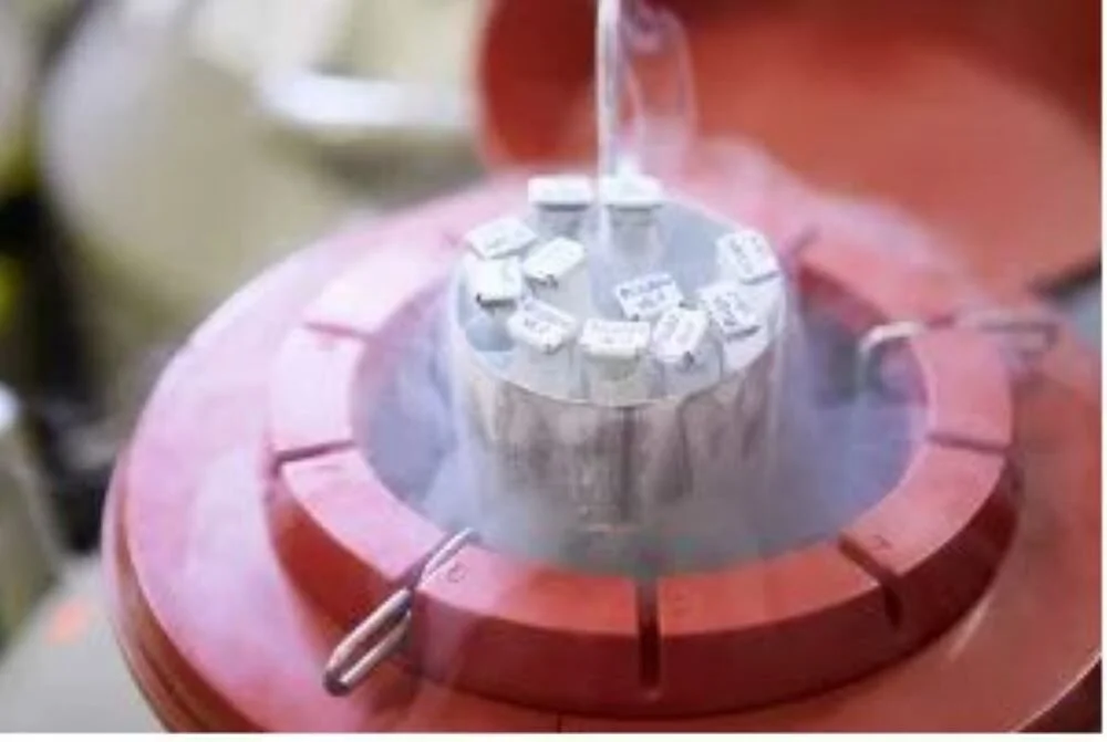 Sperm Donor Sues Over Use Of His Sperm With LGBTQ And Single Parents