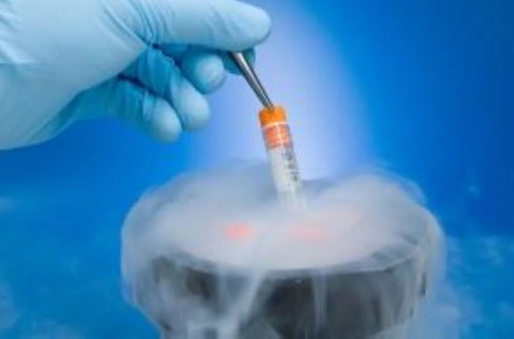 Pandemic- Or Election-Caused Divorce Pending, But Still Want A Baby? Expect Legal Obstacles.