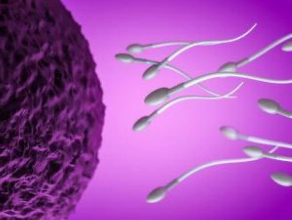 The Legal Flaws Of The Sperm Kings