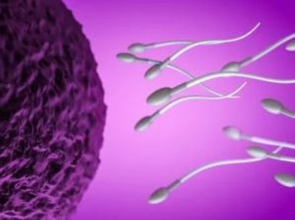 Sperm count is plummeting, will sperm-related legal work skyrocket?