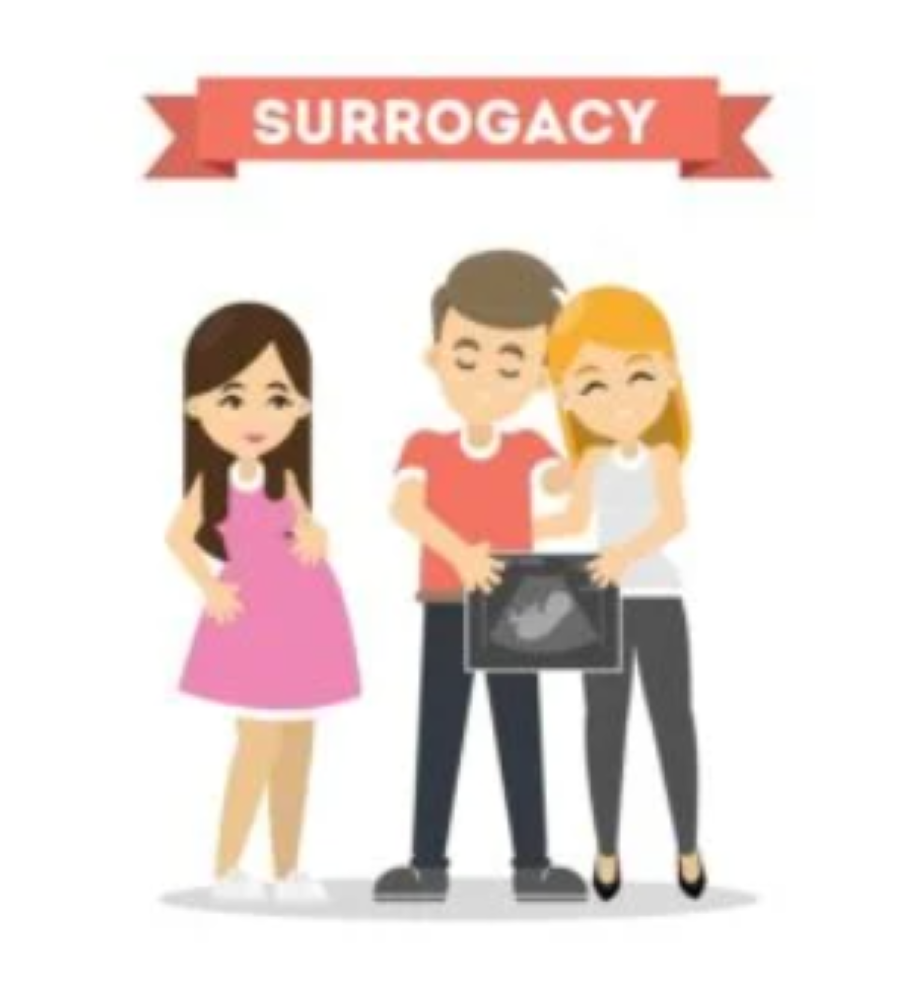 Does ‘Together Together’ Get Surrogacy Right, Legally Speaking?