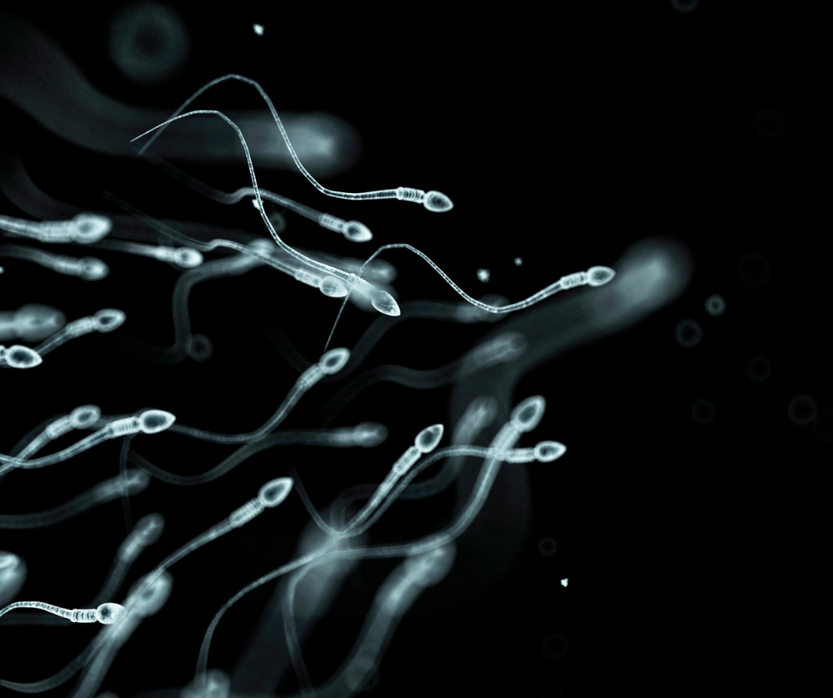 More Regulation Is Needed In US Fertility Industry