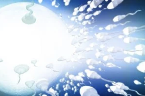 US Legislators Introduce Bill to protect IVF throughout the Country