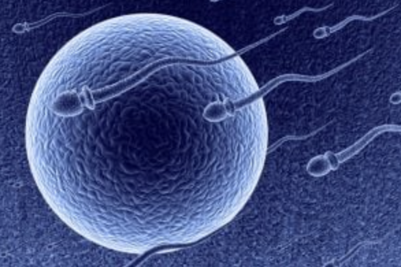 A Connecticut Court Just Dismissed A Case Against A Doctor Who Secretly Inseminated His Patients With His Own Sperm