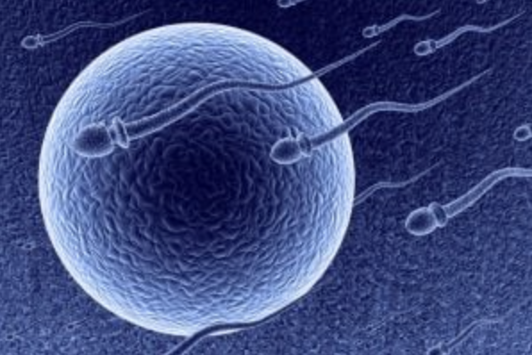 In Unprecedented Ruling, Court Orders Sperm Donor To Stop ... Or Else