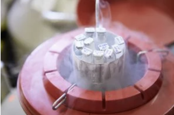 Is A 68-Year-Old Arranging The Birth Of Her Deceased Son’s Child By Surrogacy Legal?