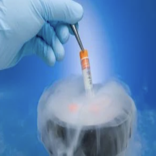 Maryland Appellate Ruling Confirms Continued Complexity Of Embryo Clashes
