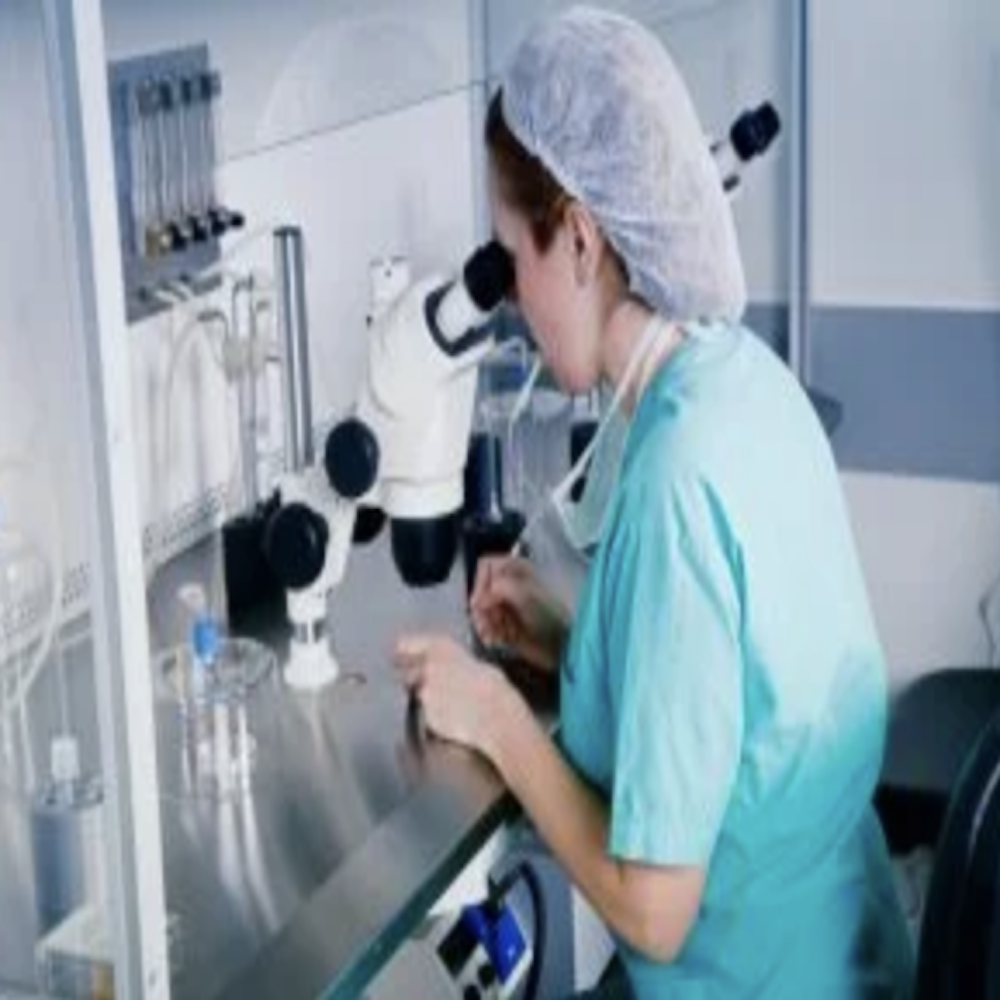 Georgia Appellate Court Issues Whiplash Embryo Ruling 