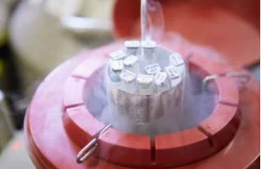 How Expensive Will Colorado Sperm Be, Come 2025?
