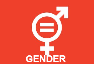 E_SDGgoals_icons-individual-rgb-05 (1).png