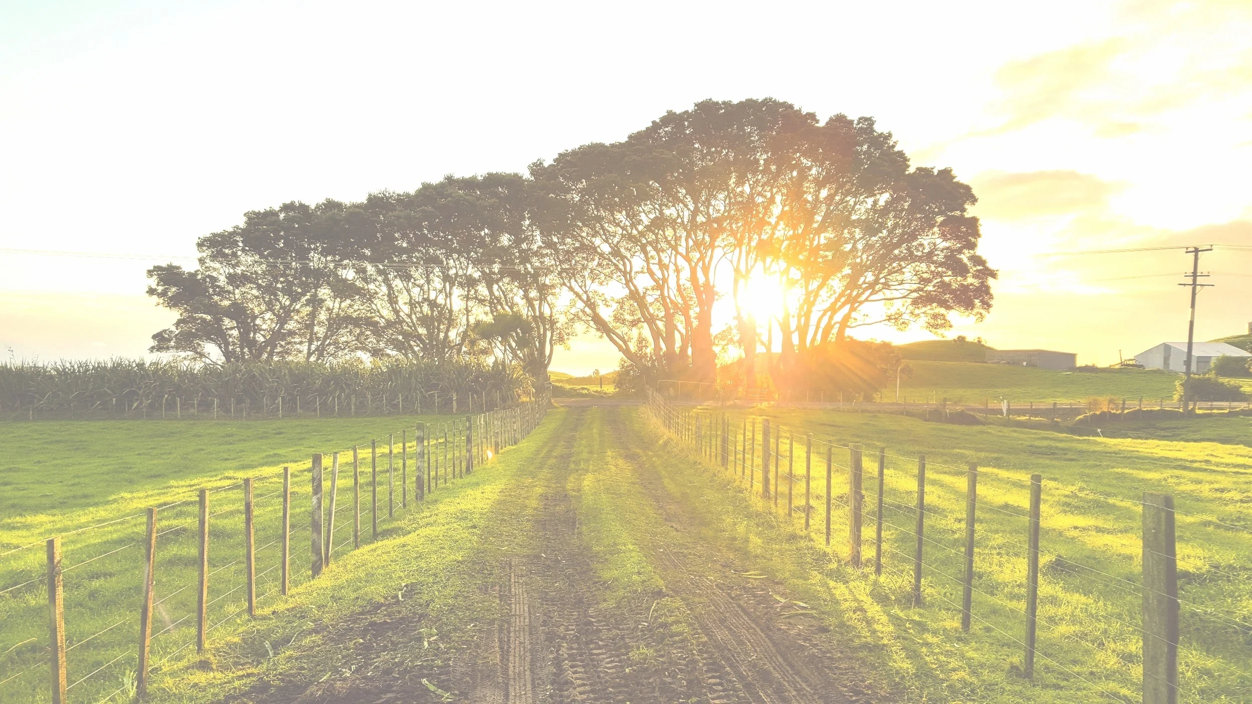 Sustainability Research