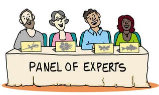 bdtool-expert-panel-cl2_10.jpg