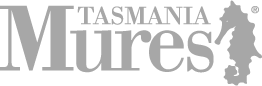 logo-footer.png