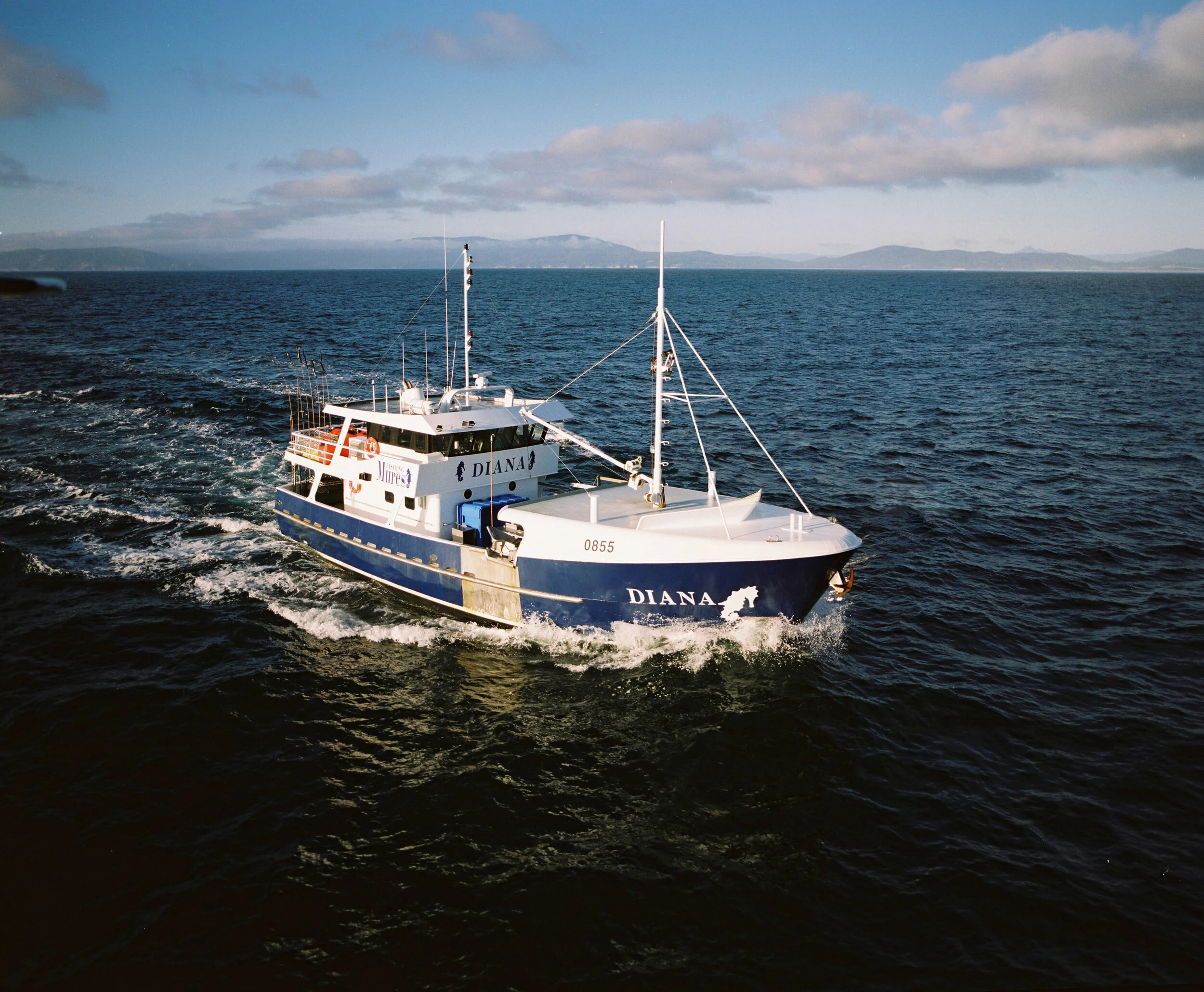 We catch our own fish.