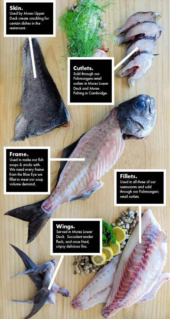 Fish Waste Minimalisation