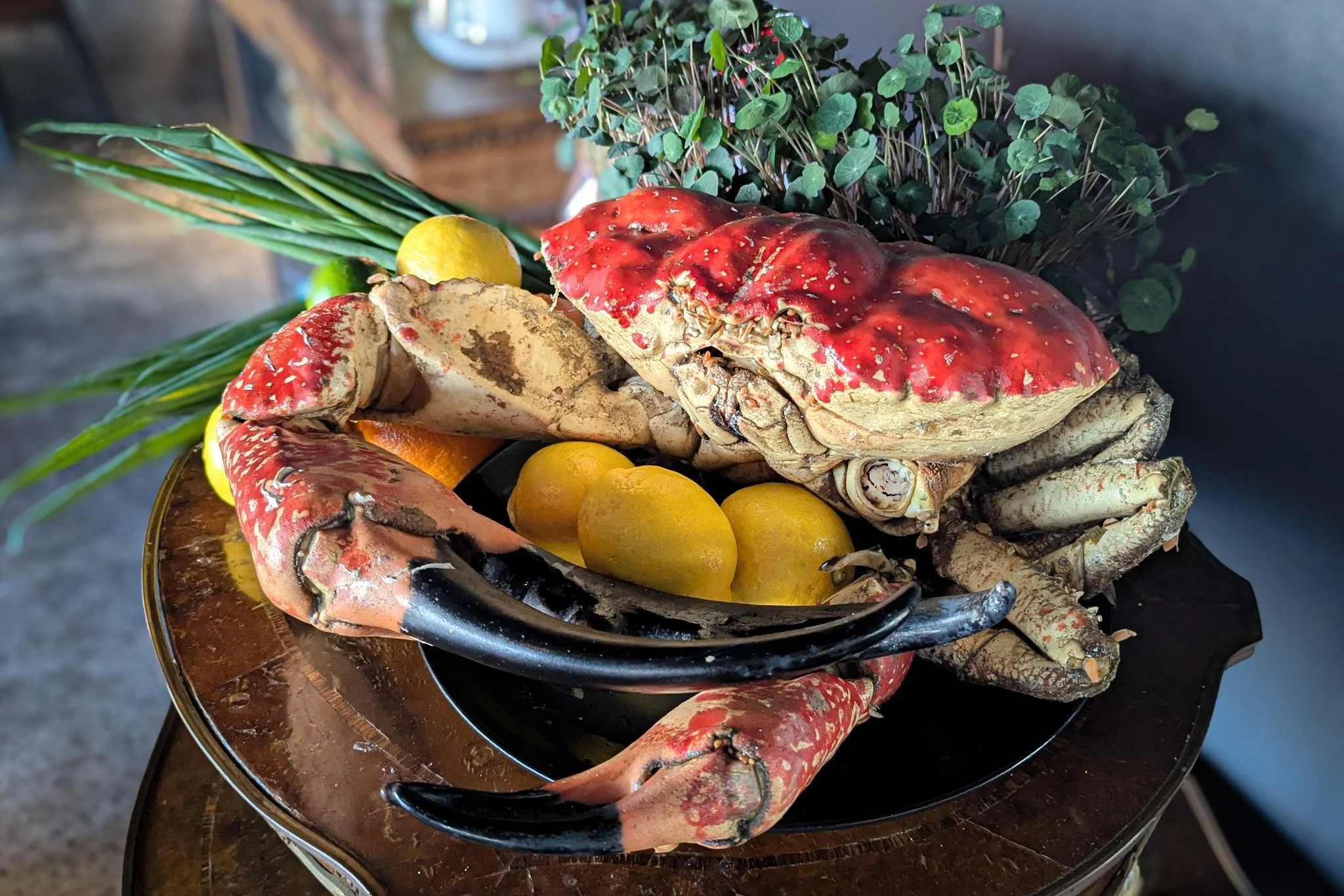 Tasmanian Giant Crab, fresh from the deck of Diana is hitting our Upper Deck specials today!  These crabs are normally found out on the edge of the continental shelf, and we can't wait to see what delicious specials Executive Chef Stefan whips up.
.
