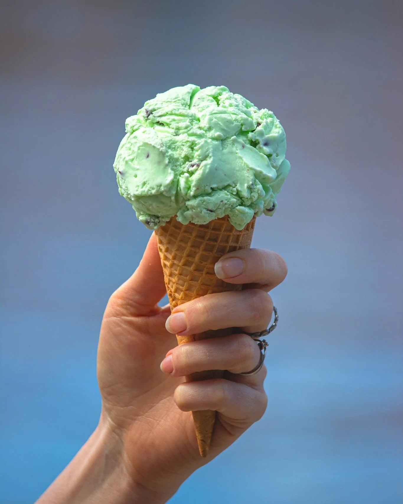 It’s the last day of Mures Lower Deck’s school holiday special offer for 2025!  Make sure to pop in and score your complimentary single ice-cream and cup of juice with every meal purchased from the kid’s menu.
.
#MuresTasmania #Mure