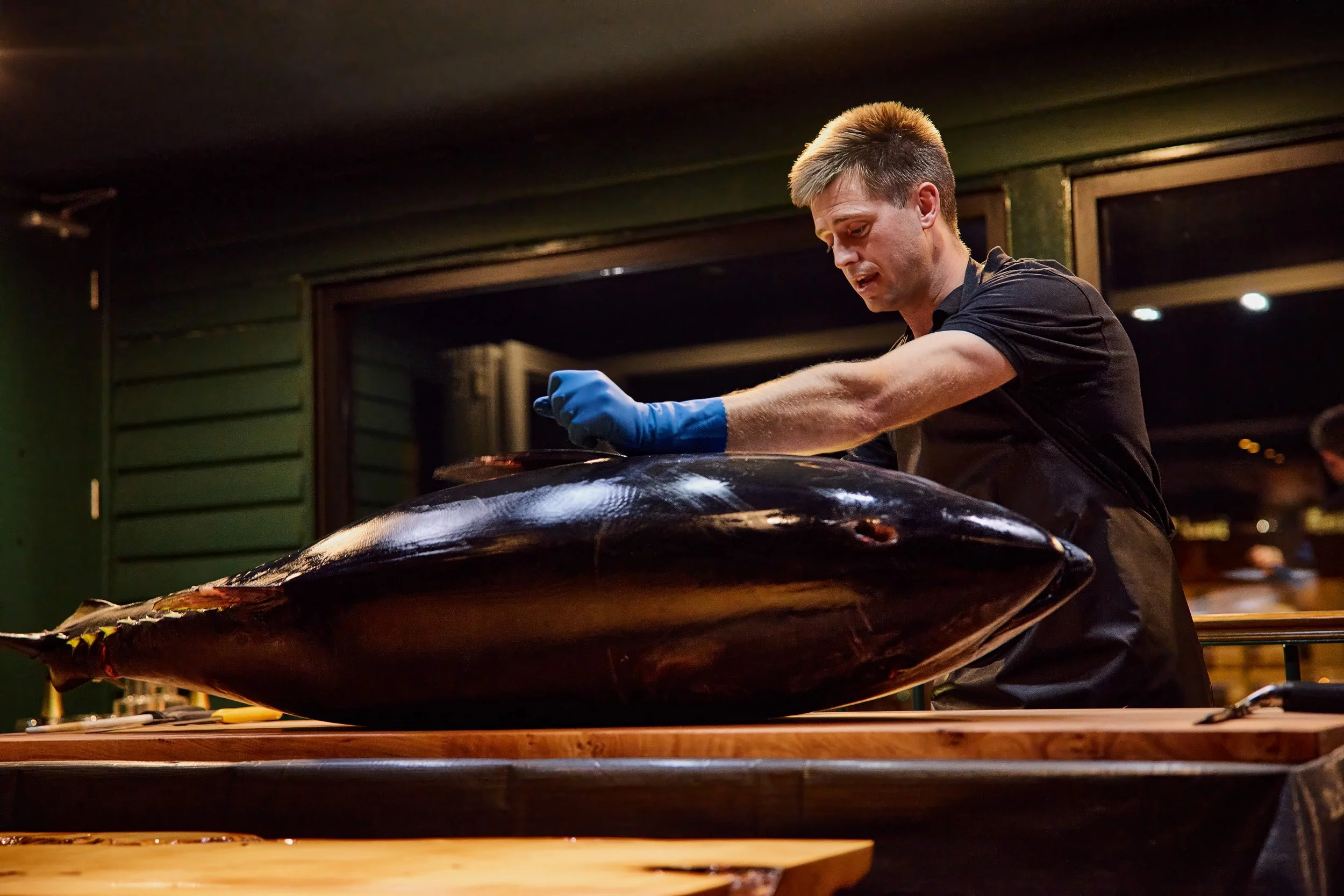 Jock Mure wearing a black shirt and blue gloves working on carving a whole Southern Bluefin Tuna fish on a wooden table indoors.
