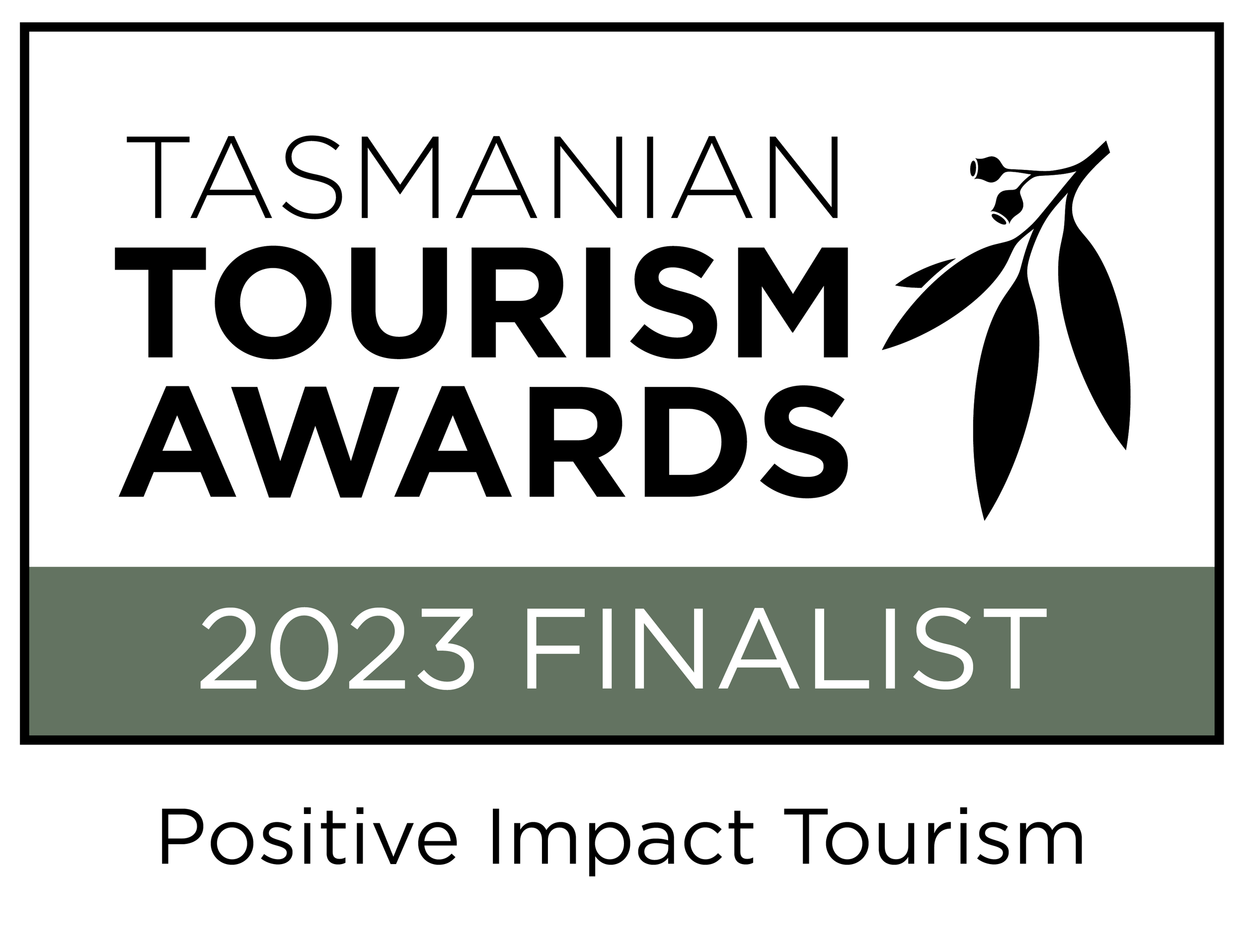 VD3741 - Positive Impact Tourism AWARD LOGOS_FINALIST 2023 PIT.png