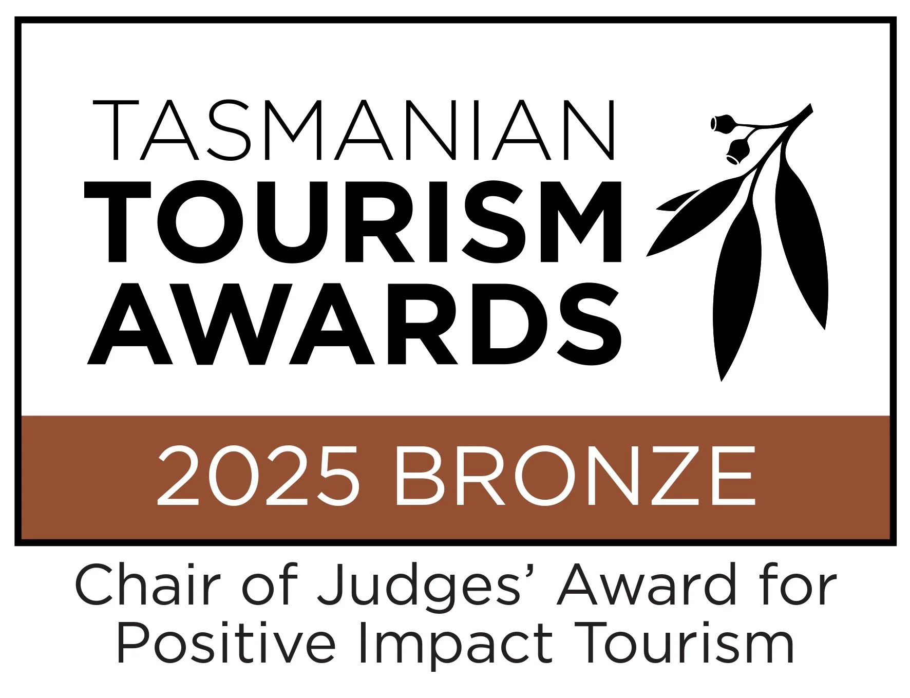 Chair of Judges Award BRONZE 2.jpg