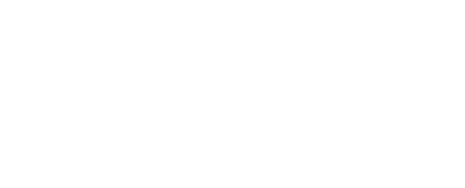 Red Cat Academy