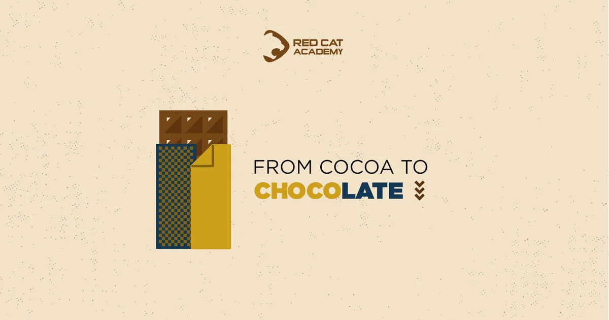 Quy trình sản xuất Cacao thành Chocolate