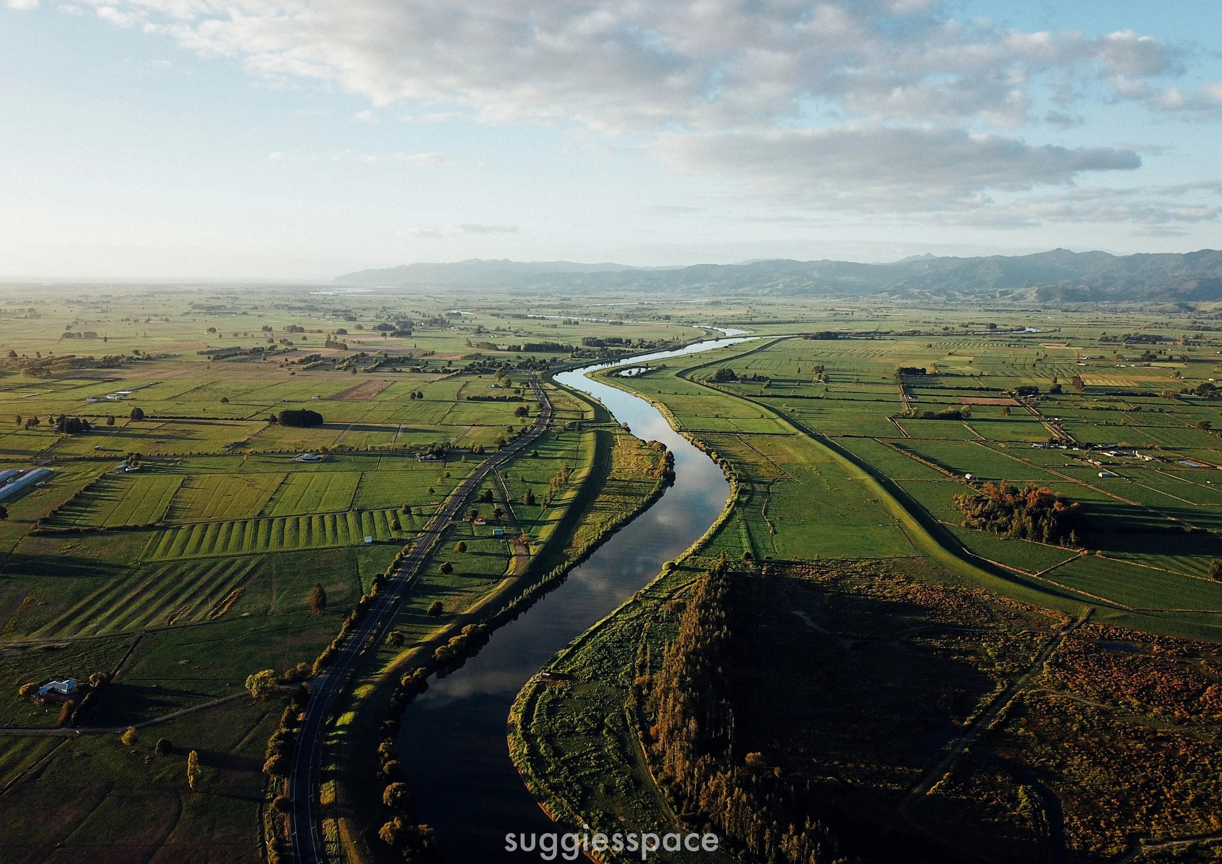 North Island Fields (A2).jpg