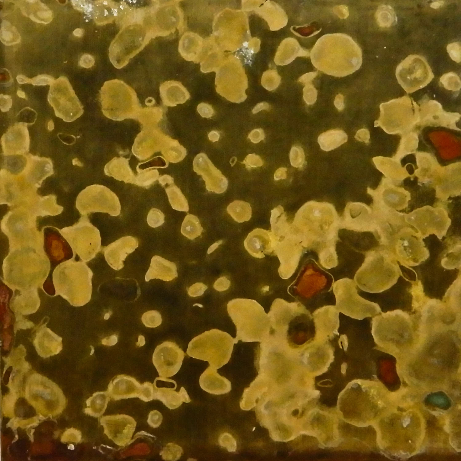 Annealed and sanded by sandpaper. Covered by lentils and then soaked in soy sauce for ten days. Size: 2 x 2 in