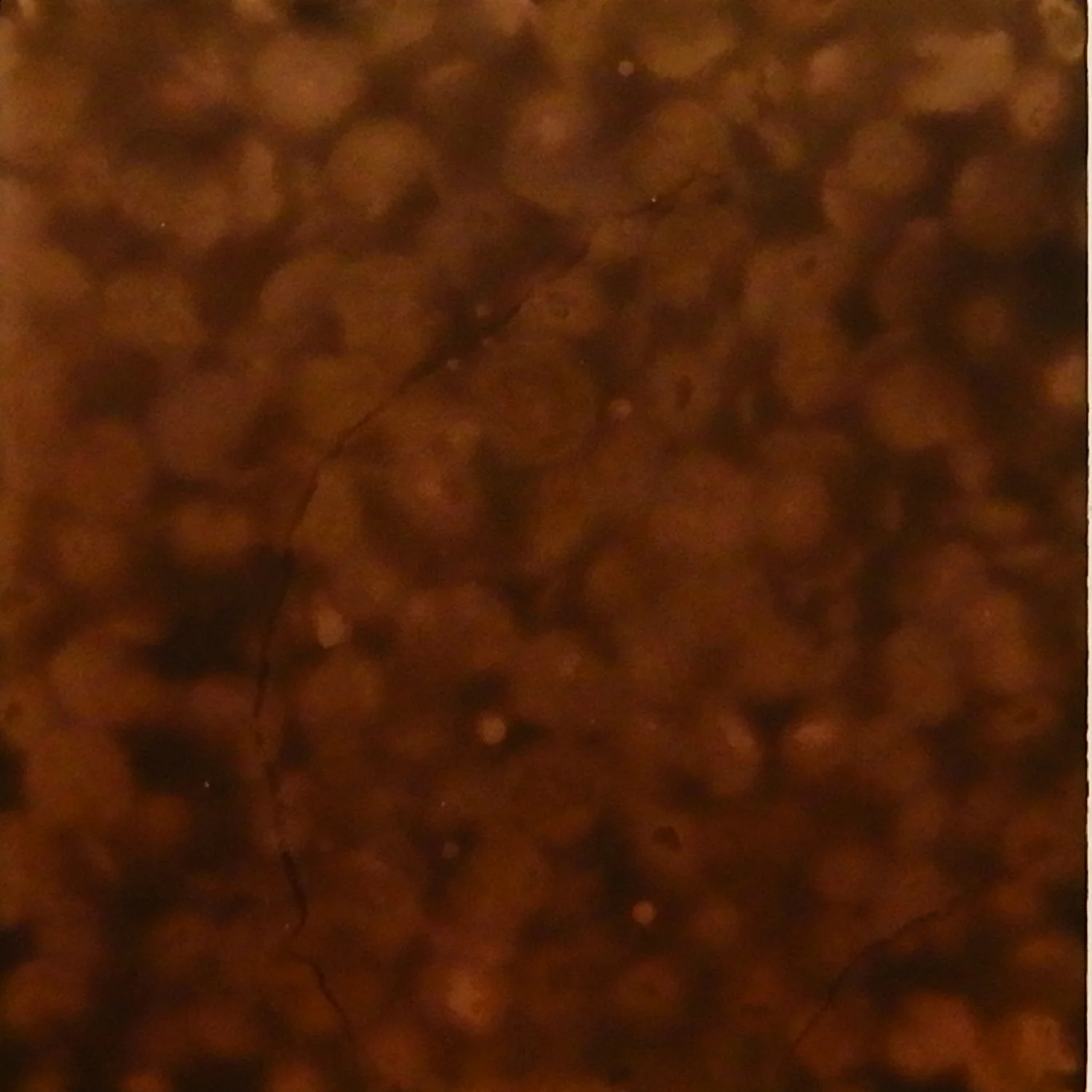 Annealed and sanded by sandpaper and then sandblasted. Both sides of the metal fully covered by lentils and then soy sauce was added to the bath for eleven days. Size: 2 x 2 in