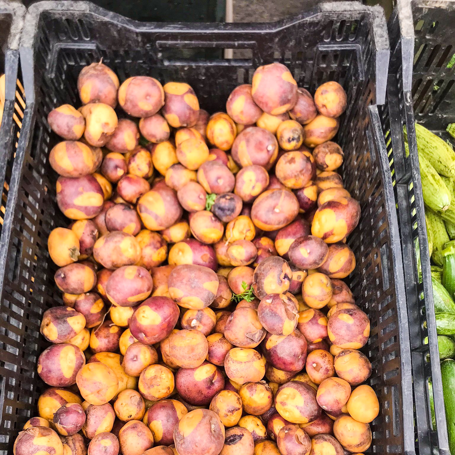 New to me variety of potato - they look semi-peeled, but it's just the coloration of the skin!