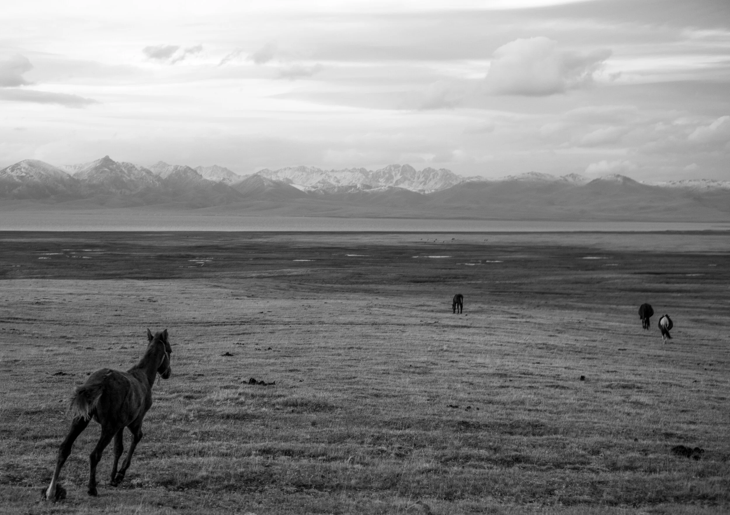 Central Asia-7510.jpg