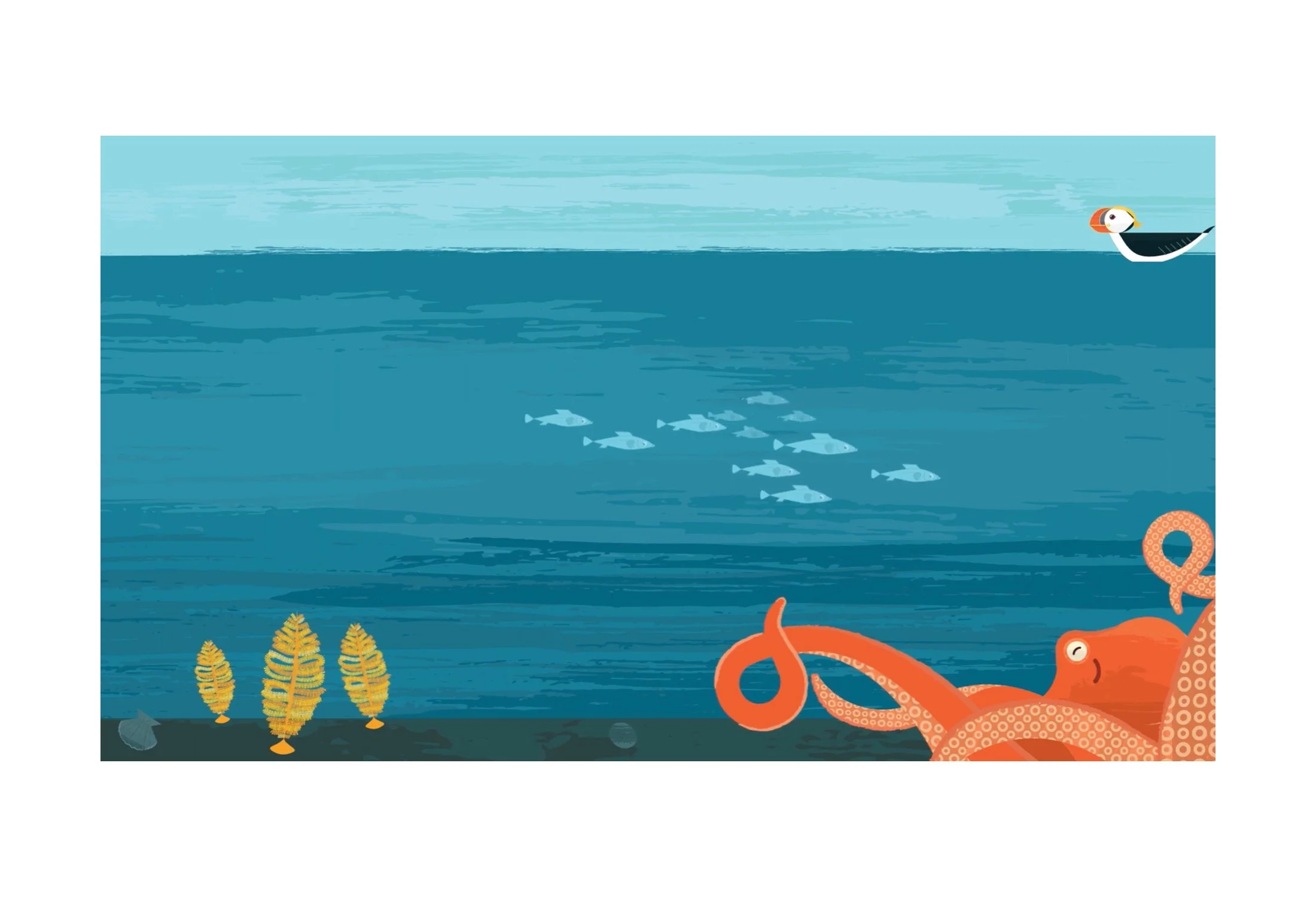 Seattle Aquarium ASMR