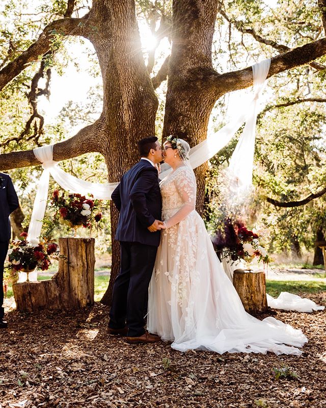 Happy Saturday everyone 😊my brain is mush from finishing up videos. In the home stretch! 
#pnwweddingphotographer #mtpisgaharboretum #portlandweddingphotographer #oregonbride #oregonweddingphotographer #eugenebride #eugeneweddingphotographer