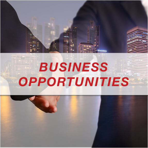 BUSINESS-OPPORTUNITIES-ICON.png