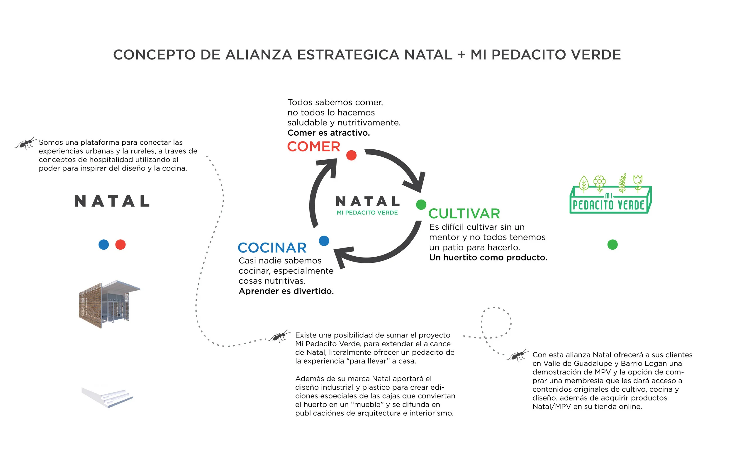 NATAL MI PEDACITO V1-01.jpg