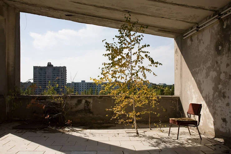 nature_takes_chernobyl_back_640_06-2.jpg