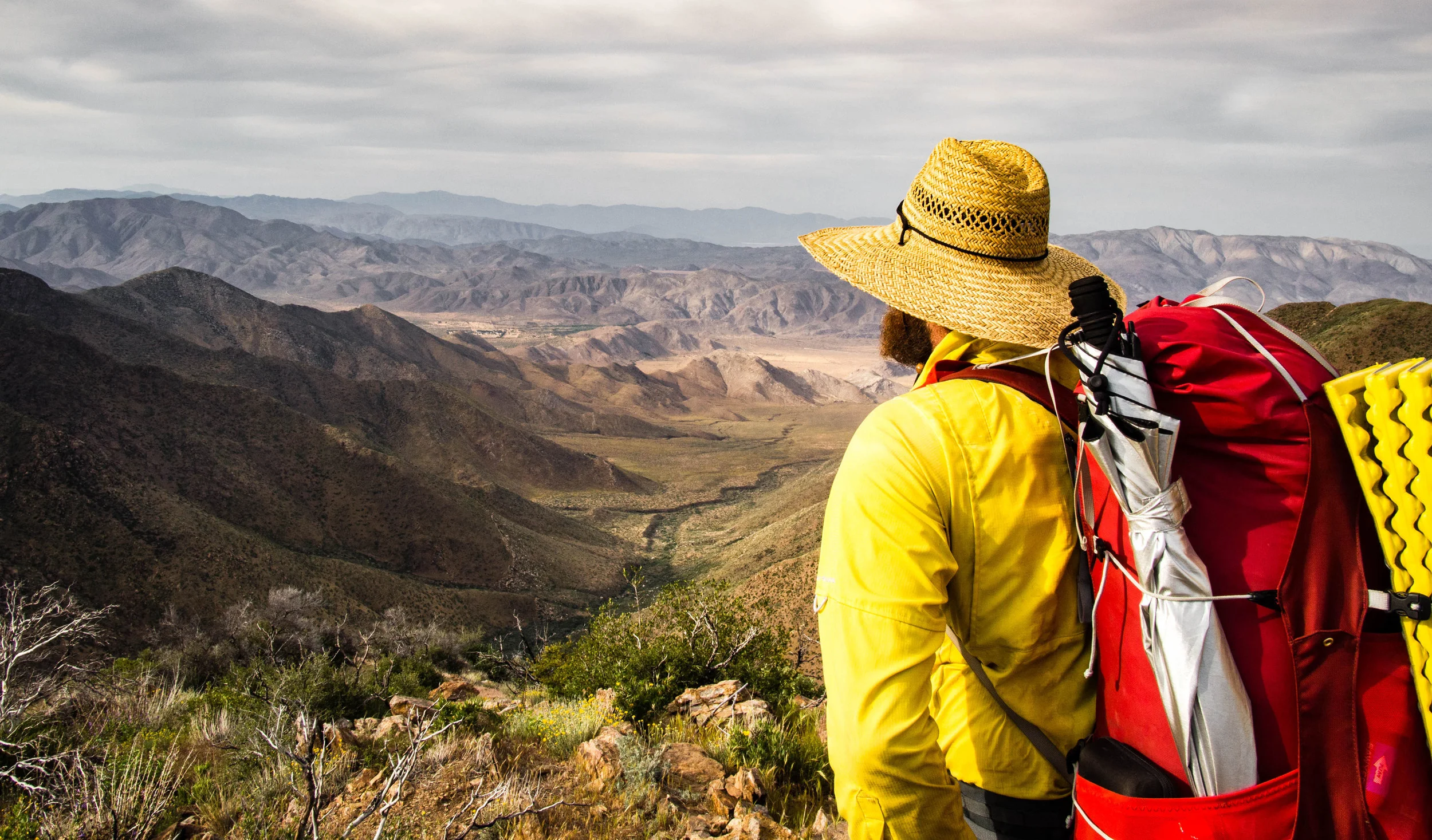 Walking through the woods on the Pacific Crest Trail