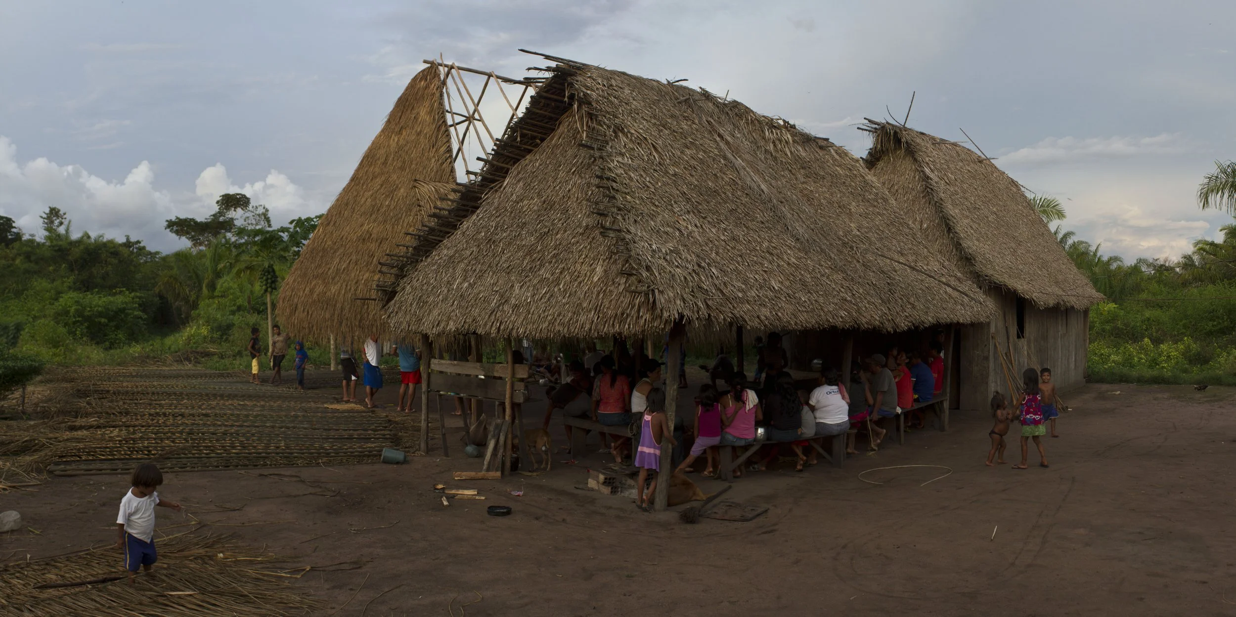 Tribe2pano.jpg