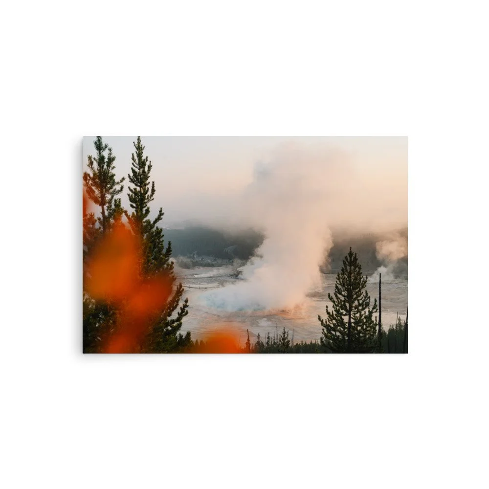 premium-luster-photo-paper-poster-(in)-20x30-front-6a0eb5c8691ee.jpg