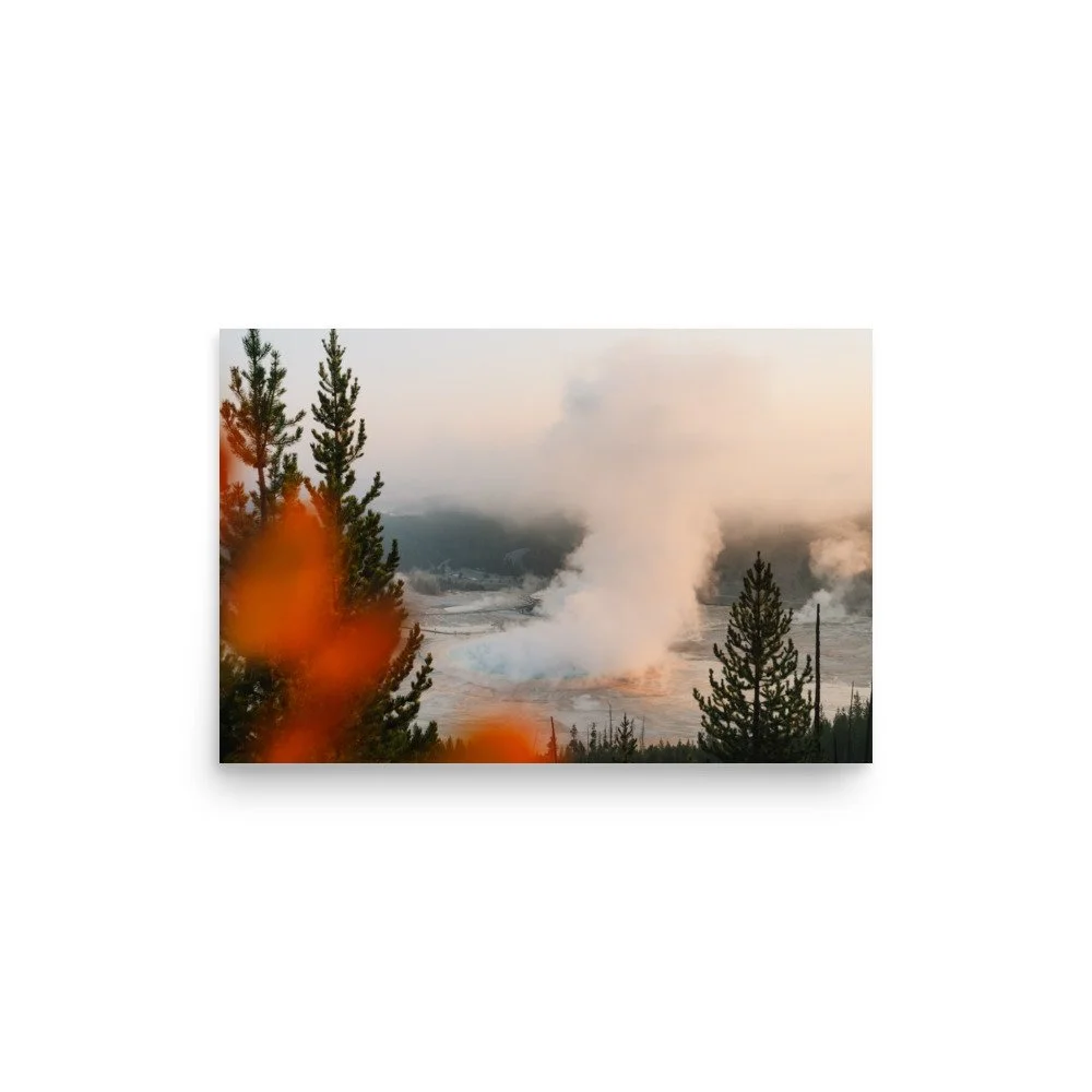 premium-luster-photo-paper-poster-(in)-12x18-front-6a0eb5c868092.jpg