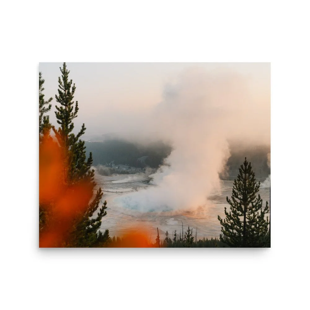 premium-luster-photo-paper-poster-(in)-16x20-front-6a0eb5c8684f9.jpg