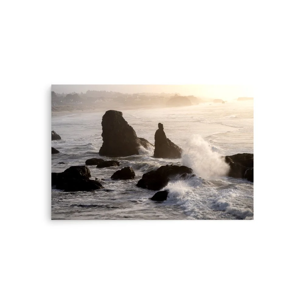 premium-luster-photo-paper-poster-(in)-20x30-front-6a0ebd6862c32.jpg