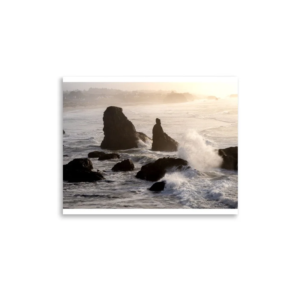premium-luster-photo-paper-poster-(in)-11x14-front-6a0ebd6861295.jpg